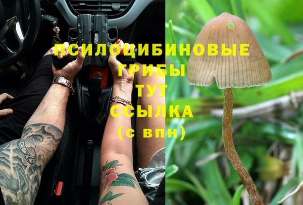 МДМА Беломорск